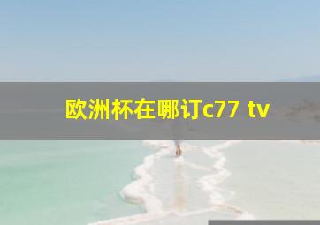 欧洲杯在哪订c77 tv